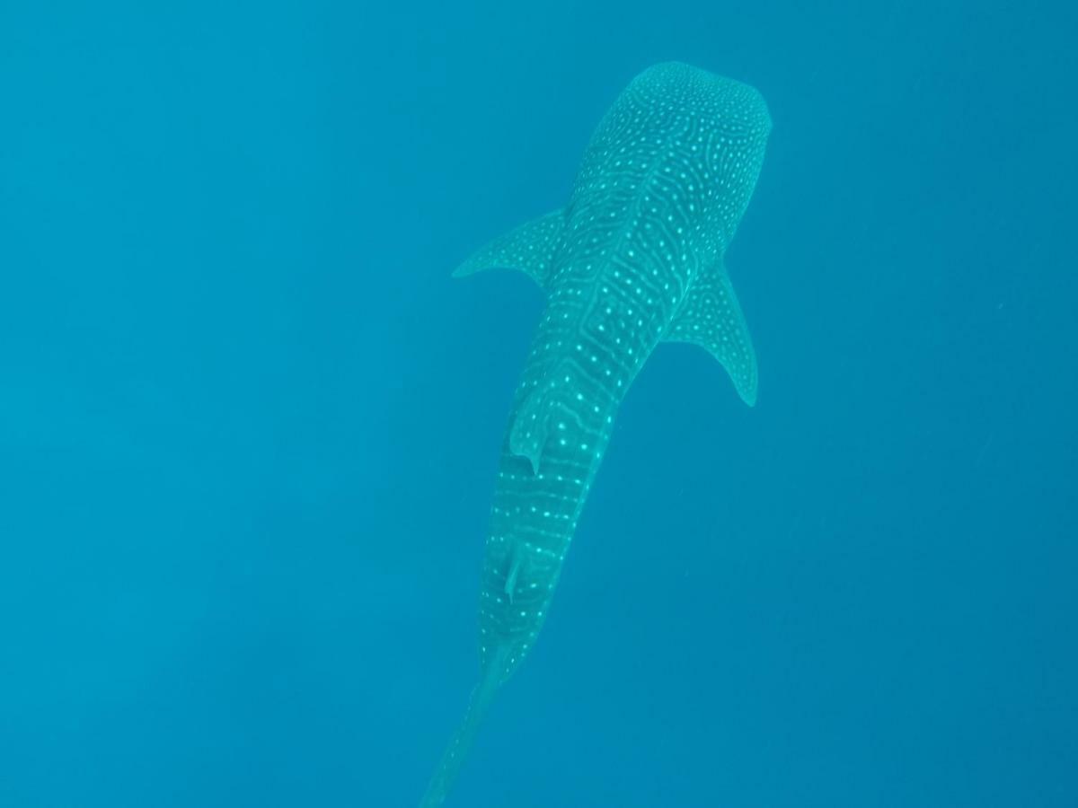 Vakarufalhi Maldives Dhangethi Bagian luar foto