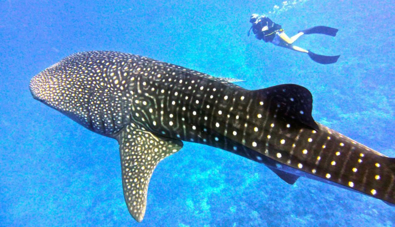 Vakarufalhi Maldives Dhangethi Bagian luar foto