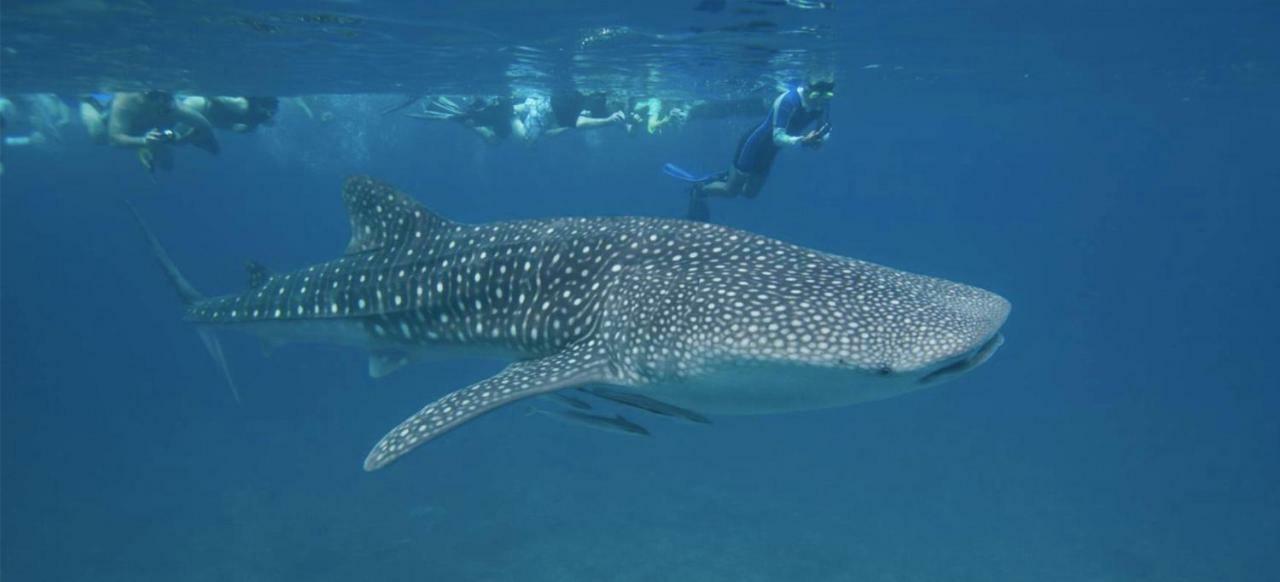 Vakarufalhi Maldives Dhangethi Bagian luar foto